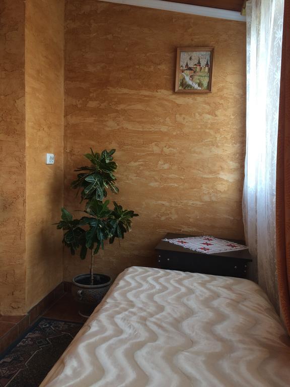 Rooms With Fortetsya View カームヤネツィ・ポジーリシクィイ エクステリア 写真